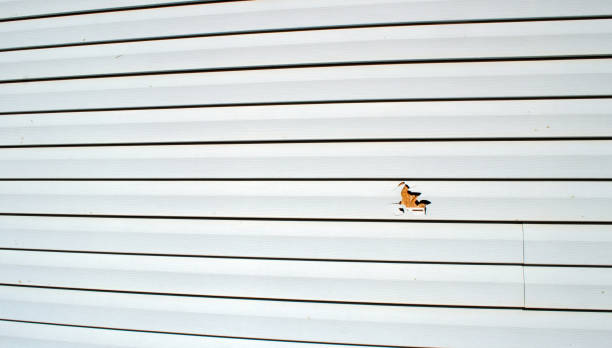 Best Stone Veneer Siding  in West Freehold, NJ